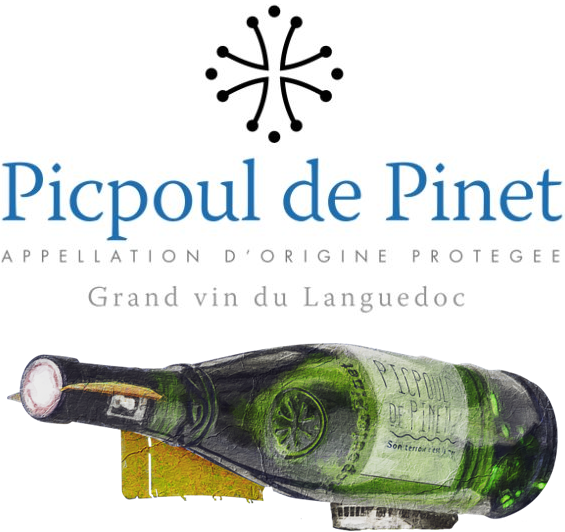 Picpoul de Pinet 5